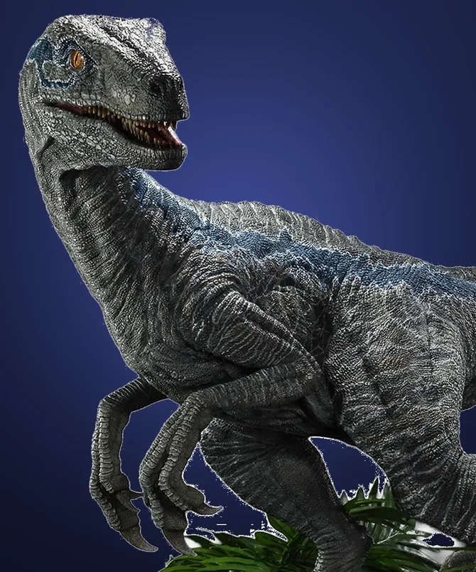 Blue – 1/2 Scale