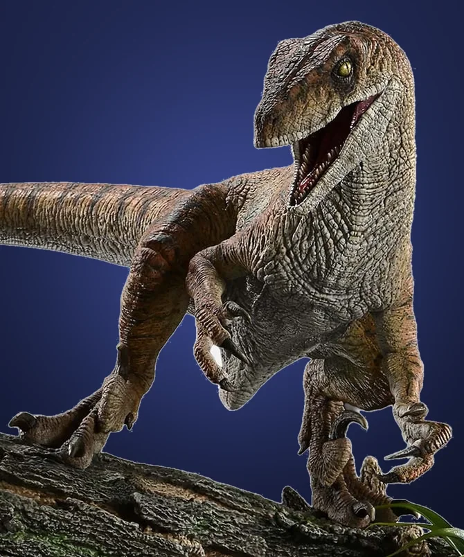 Velociraptor